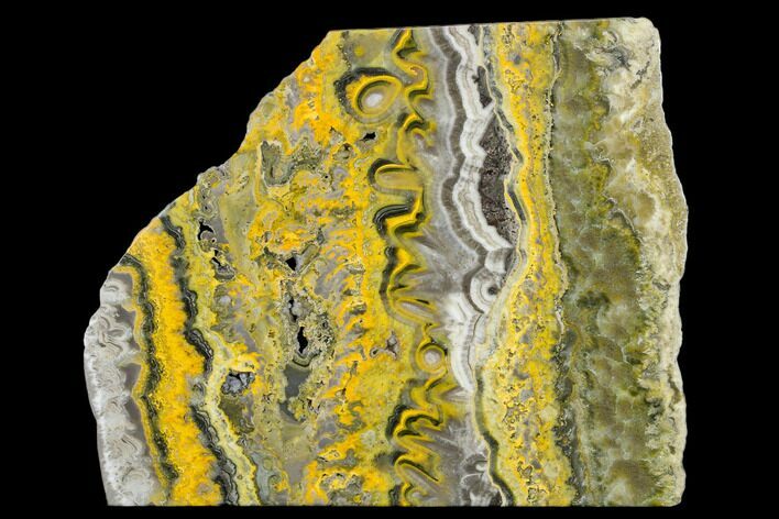 Top Quality, Polished Bumblebee Jasper Slab - Indonesia #113460